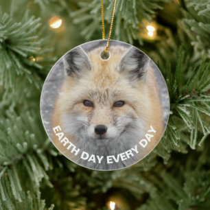 Tag der Erde Jeden Tag Red Fox Foto Keramik Ornament
