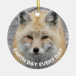 Tag der Erde Jeden Tag Red Fox Foto Keramik Ornament