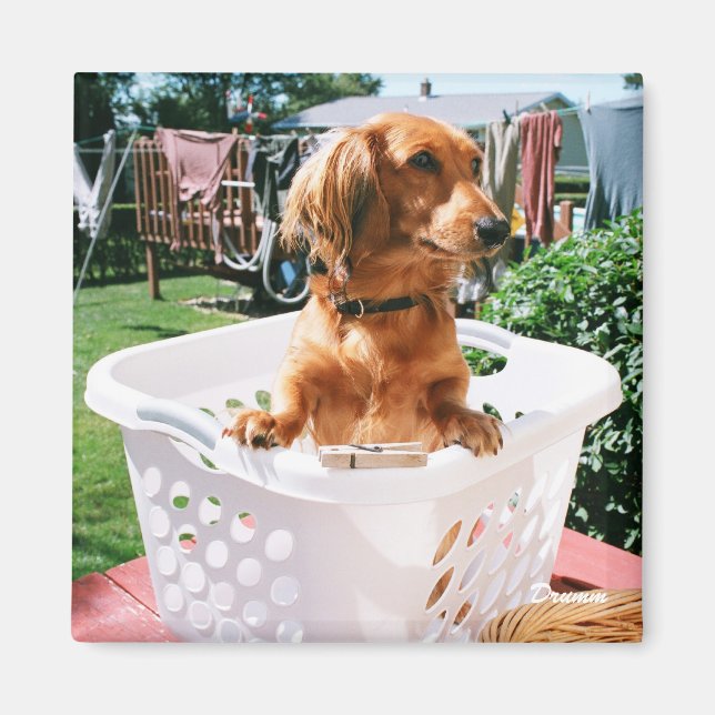 Tag der Wäsche Magnet (Vorne)