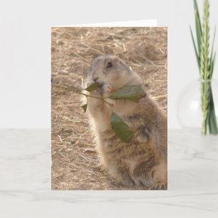 Tag des Groundhogs Karte