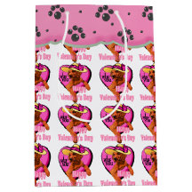 Tag des irischen Setters Valentine