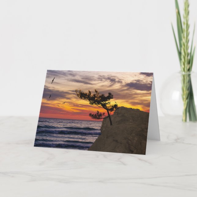 Tag des Sonnenunterganges-Baum-Vaters Karte (Vorderseite)