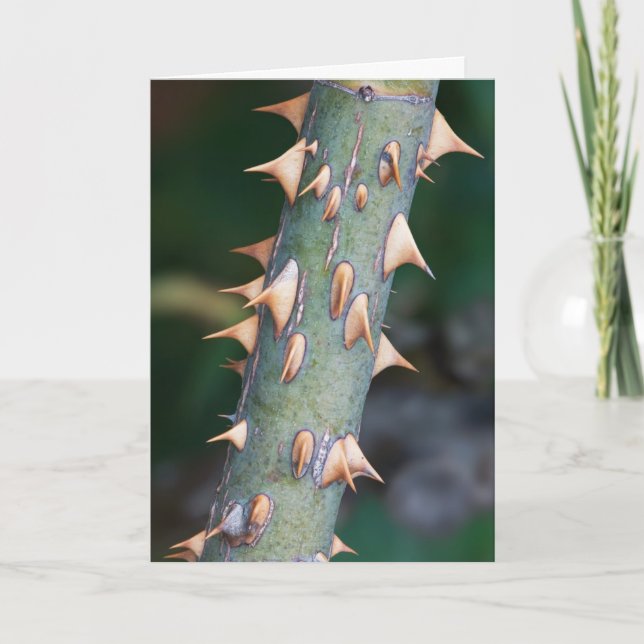 "Tag des Vaters" Bist du bereit? Karte (Vorderseite)