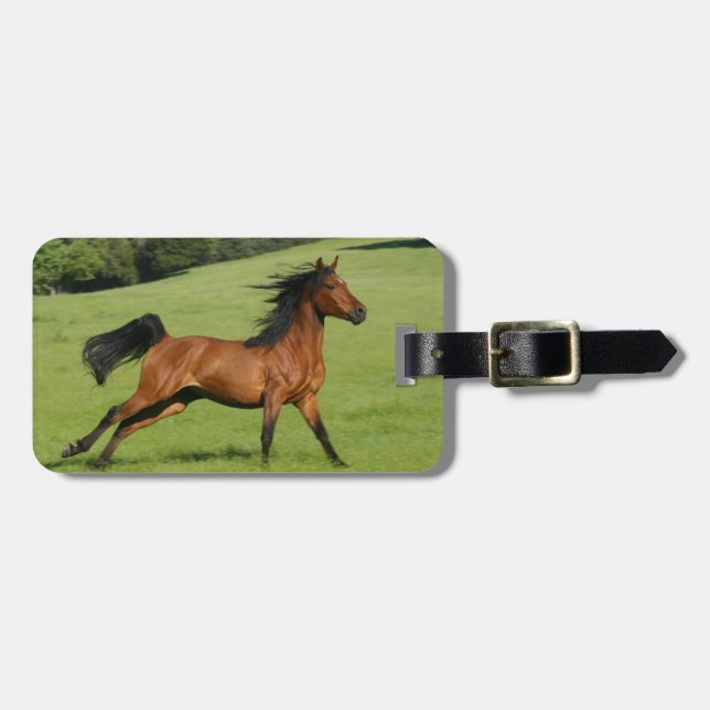 Tag für das arabische Pferd Gepäckanhänger (Vorderseite horizontal)