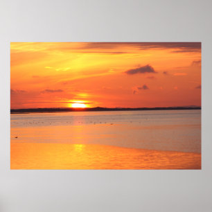 Tag gleitet in Nachtdruck Poster