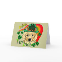 Tag Goldendoodle St. Patricks