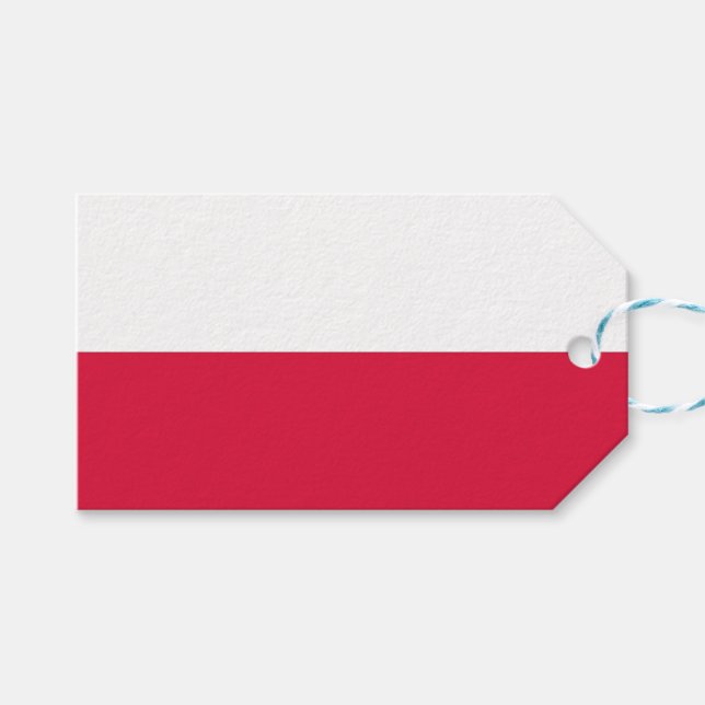 Tag mit Flagge Polens Geschenkanhänger (Vorderseite (Horizontal))