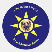 Tag ohne Mastiff Hund Liebhaber