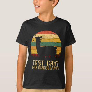 Tag ohne Probllama Silhouette Lehrer Student Gradu T-Shirt