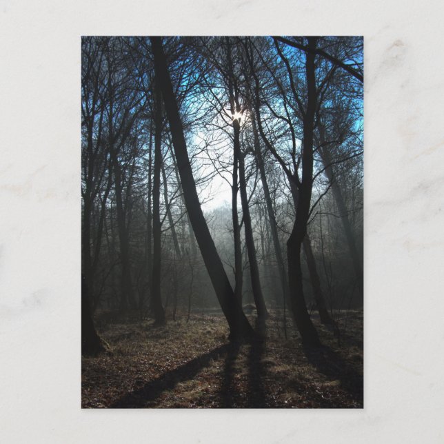 Tag Postkarte (Vorderseite)