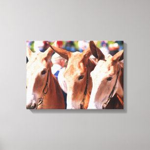 Tage der Maultiere in Kolumbien tl Leinwanddruck