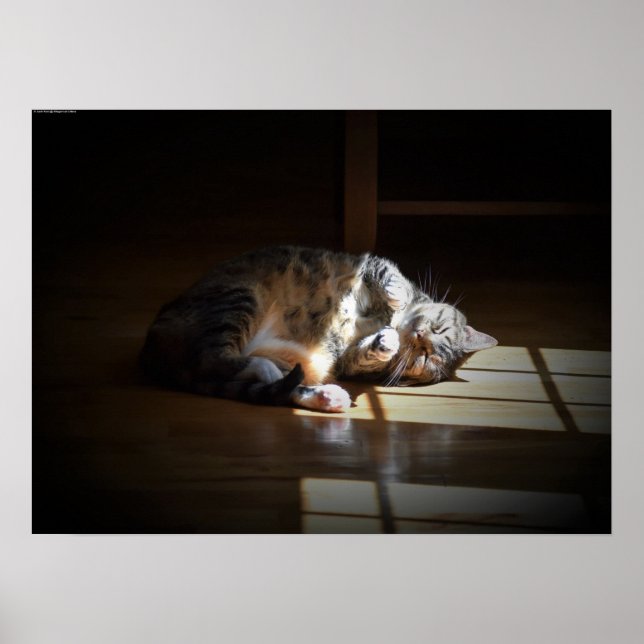 Tage, Poster (Vorne)