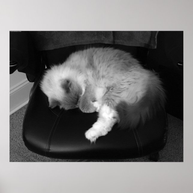 Tage, Poster (Vorne)