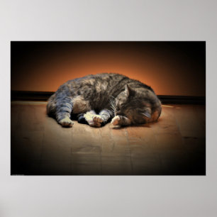 Tage, Poster