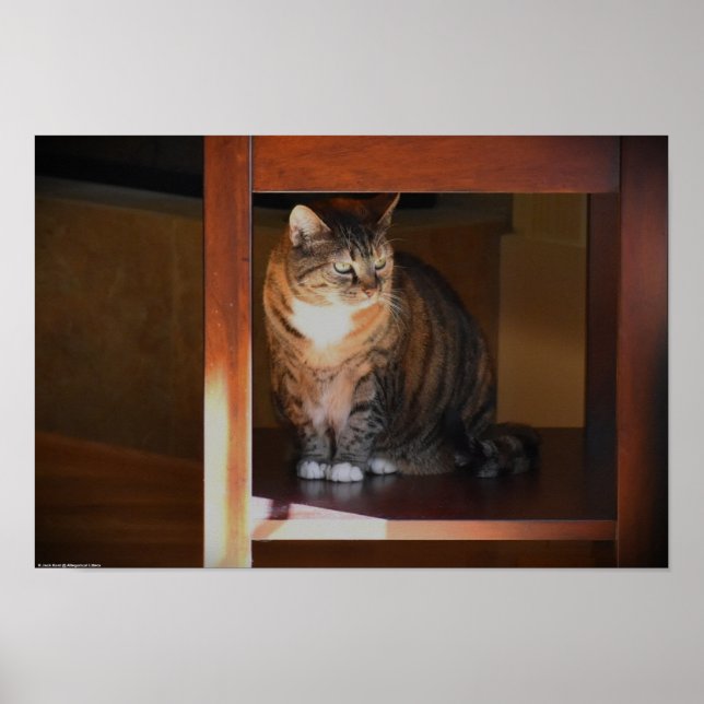 Tage, Poster (Vorne)