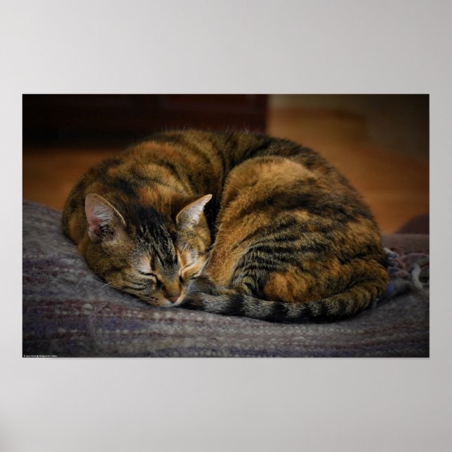 Tage, Poster (Vorne)