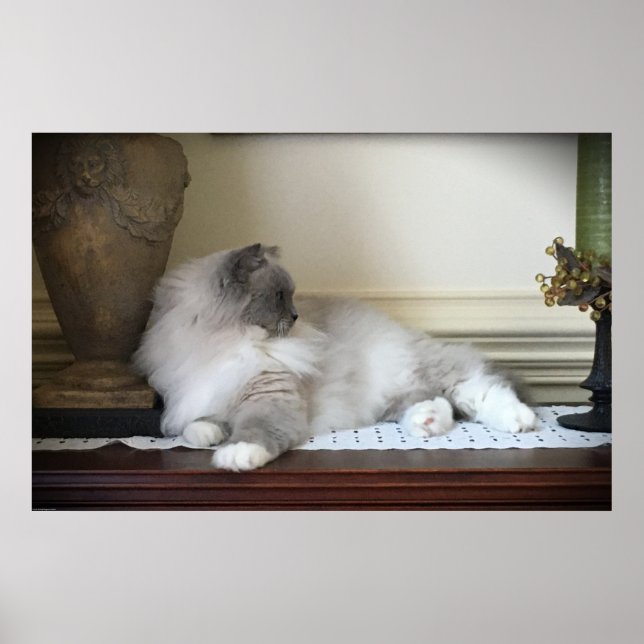 Tage, Poster (Vorne)