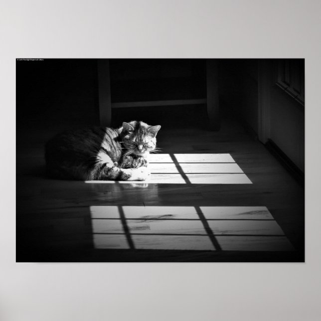 Tage, Poster (Vorne)