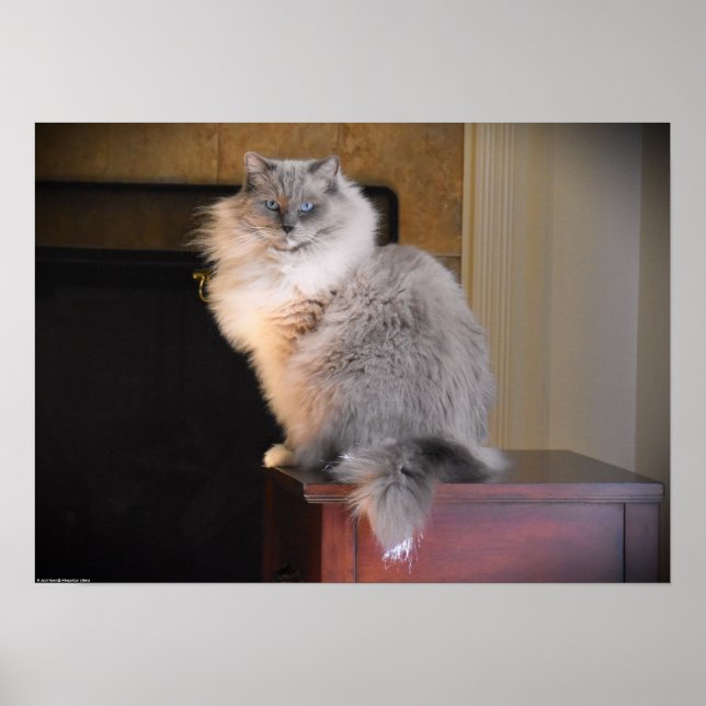 Tage, Poster (Vorne)