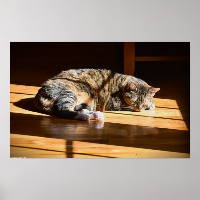 Tage, Poster (Vorne)
