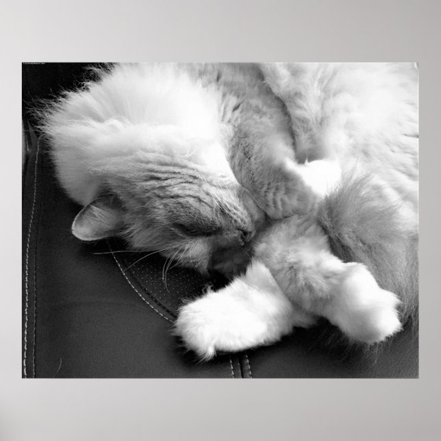 Tage, Poster (Vorne)