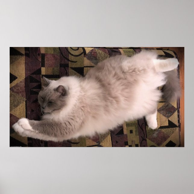 Tage, Poster (Vorne)