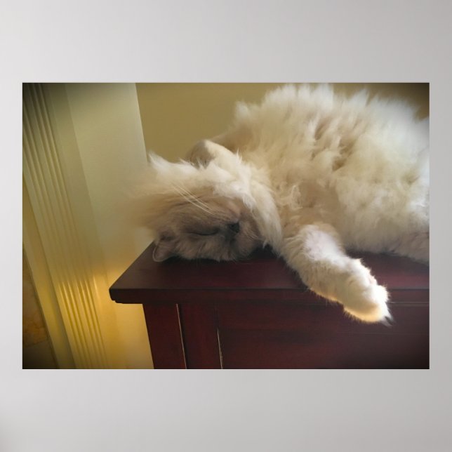 Tage, Poster (Vorne)