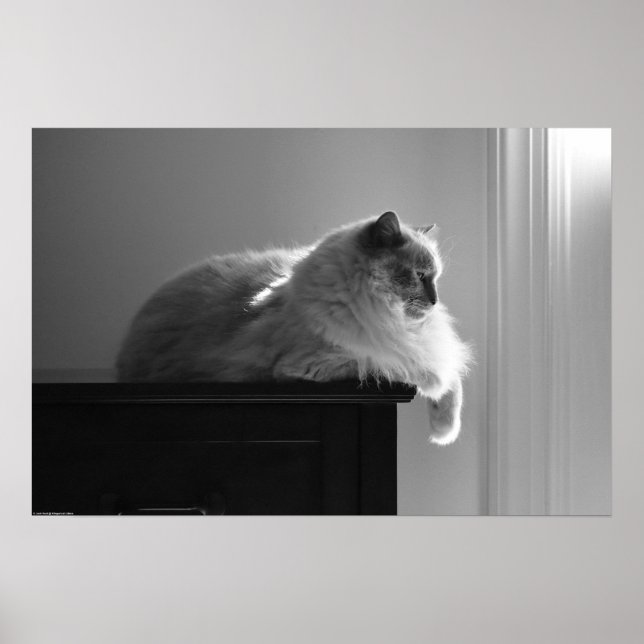 Tage, Poster (Vorne)