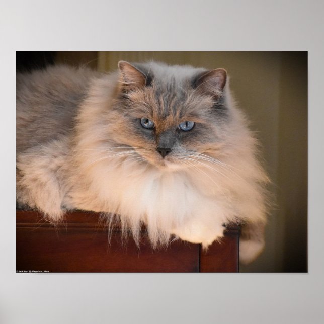 Tage, Poster (Vorne)