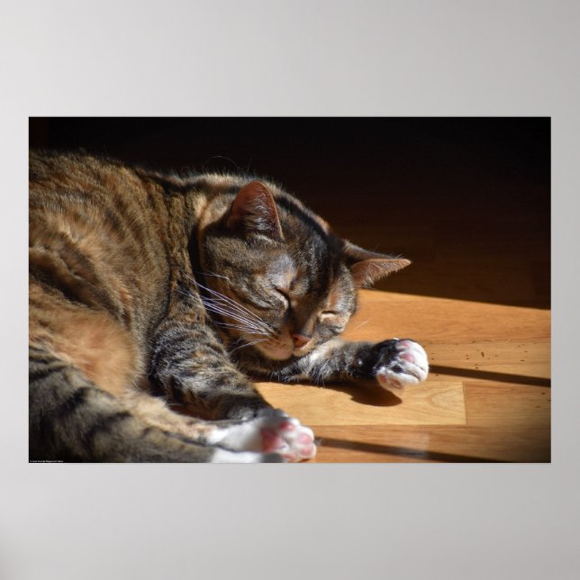 Tage, Poster (Vorne)