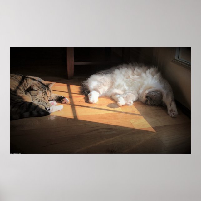 Tage, Poster (Vorne)