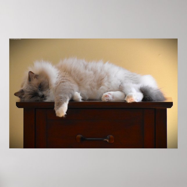 Tage, Poster (Vorne)