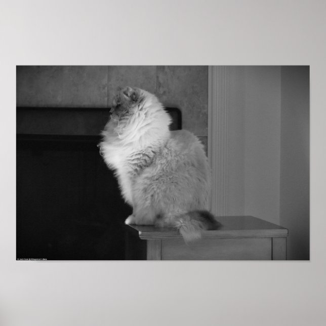 Tage, Poster (Vorne)