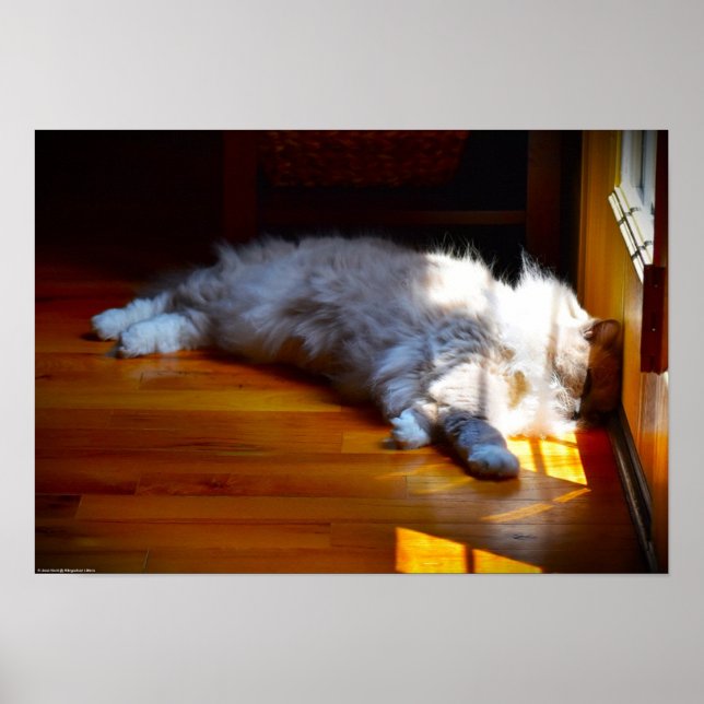 Tage, Poster (Vorne)