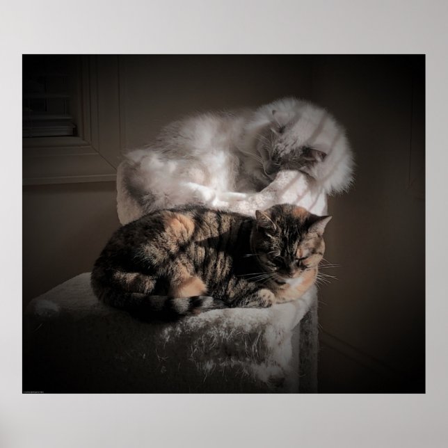 Tage, Poster (Vorne)