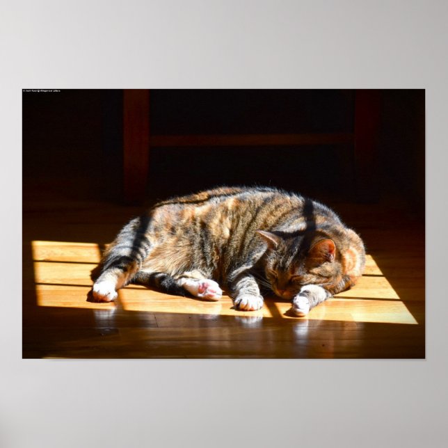 Tage, Poster (Vorne)