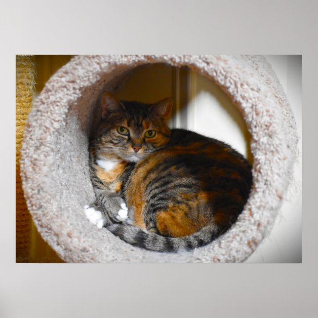 Tage, Poster (Vorne)