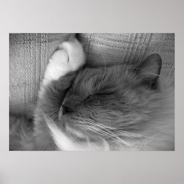 Tage, Poster (Vorne)