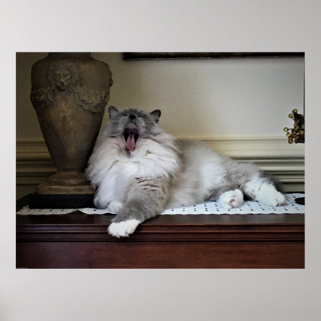 Tage, Poster (Vorne)