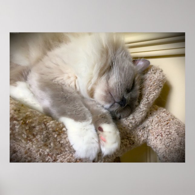 Tage, Poster (Vorne)