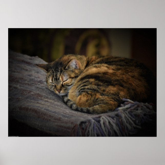 Tage, Poster (Vorne)