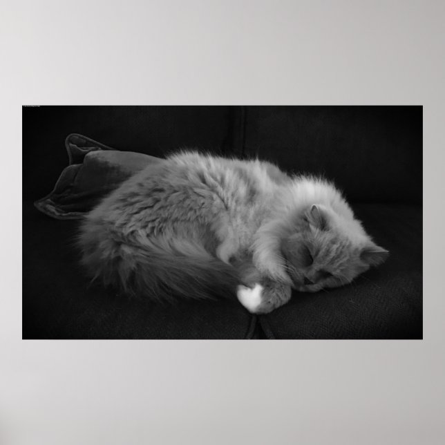Tage, Poster (Vorne)