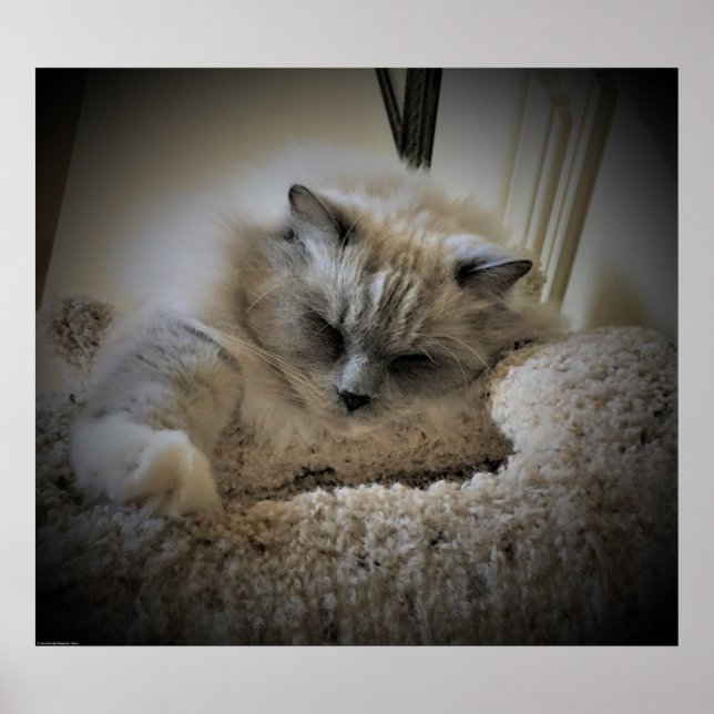 Tage, Poster (Vorne)