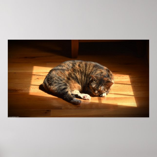 Tage, Poster (Vorne)