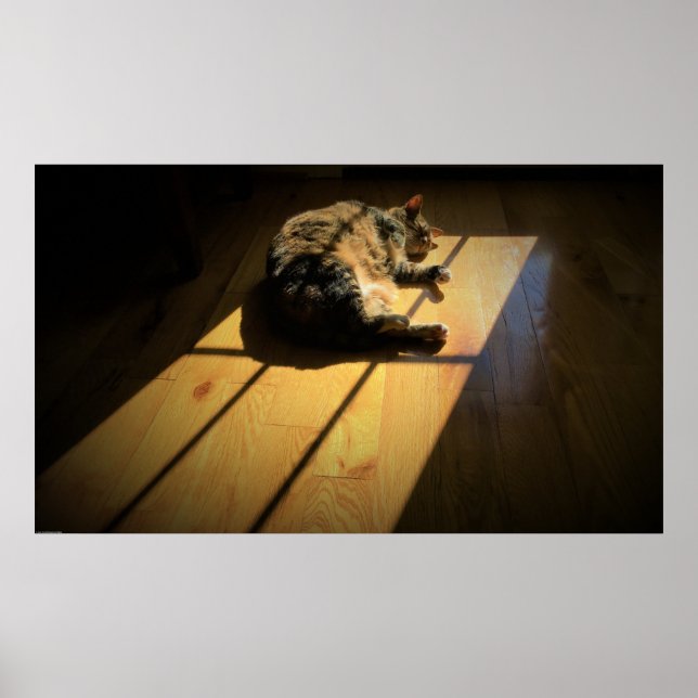 Tage, Poster (Vorne)