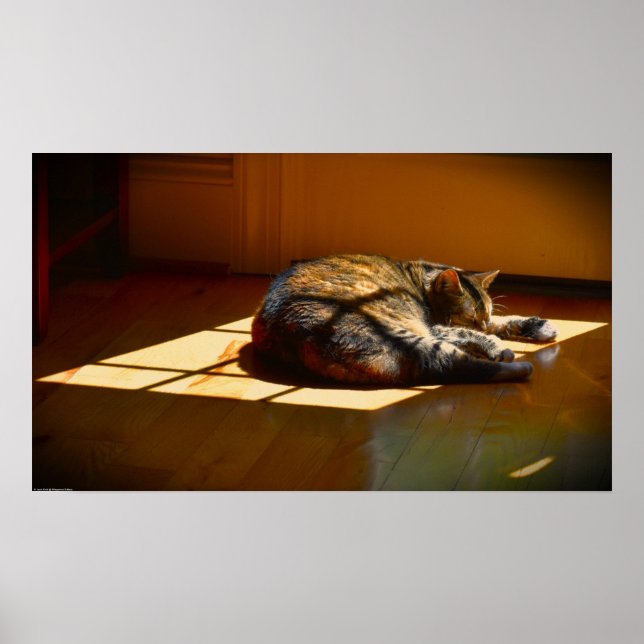 Tage, Poster (Vorne)