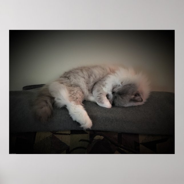 Tage, Poster (Vorne)