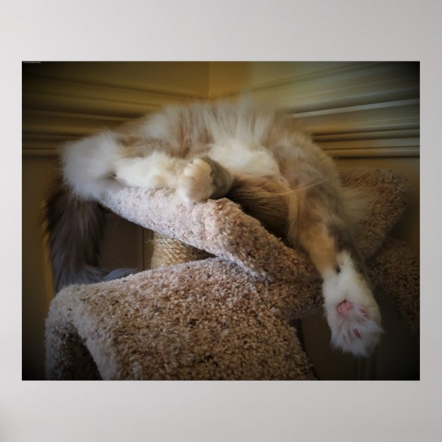 Tage, Poster (Vorne)