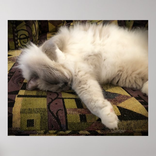 Tage, Poster (Vorne)