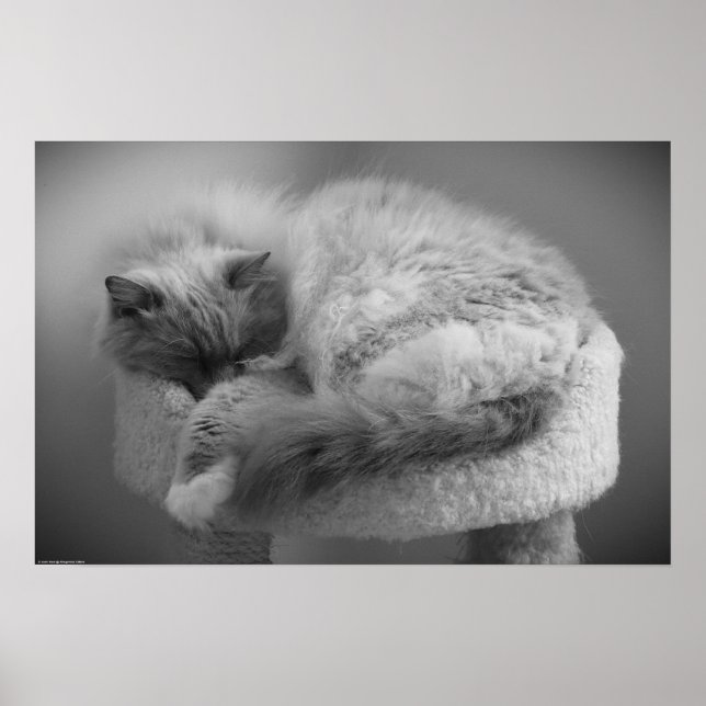 Tage, Poster (Vorne)